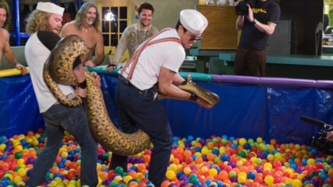 Jackass Number Two backdrop 12