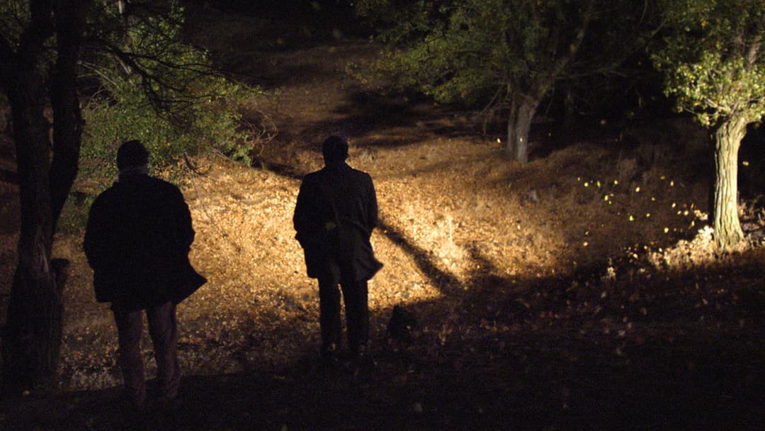 Once Upon a Time in Anatolia backdrop 5