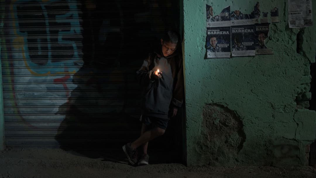 Tigers Are Not Afraid backdrop 7