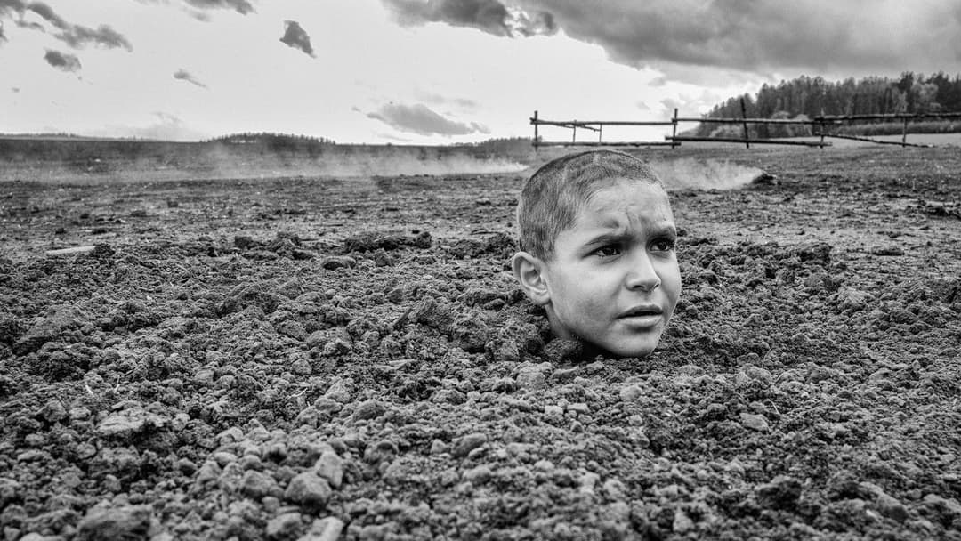 The Painted Bird backdrop 5