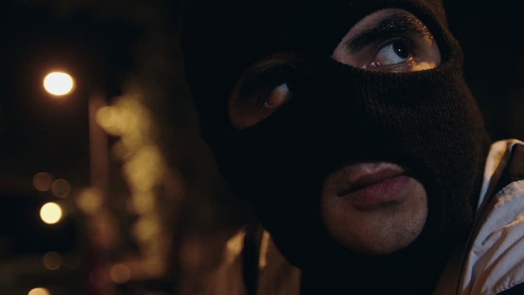 The Supplement backdrop 4