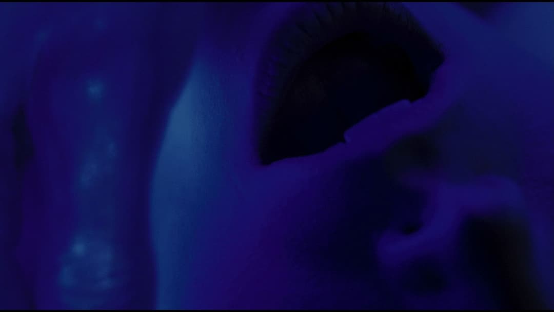 Хранителі backdrop 20