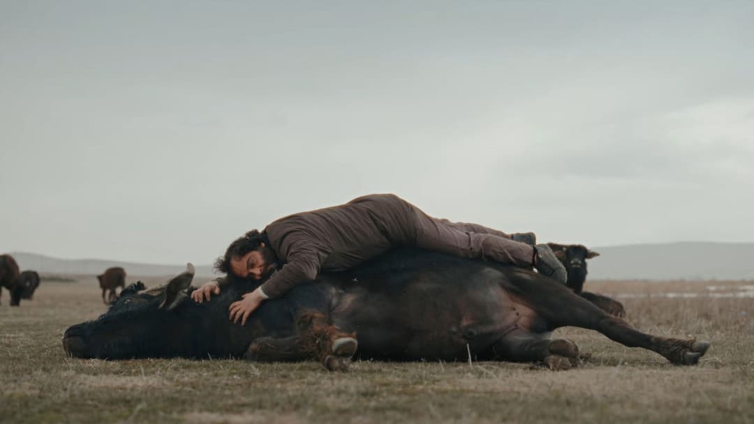 Günyüzü backdrop 1