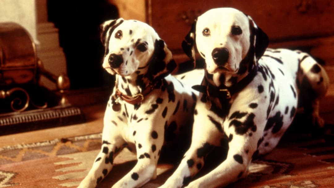 101 Dalmatians backdrop 13