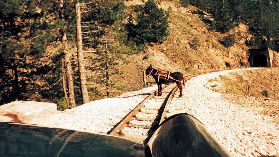 Das Leben ist ein Wunder backdrop 3