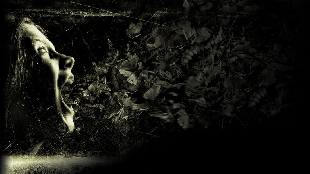 Шкатулка одержимості backdrop 7