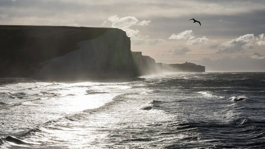 Край вічного літа backdrop 6