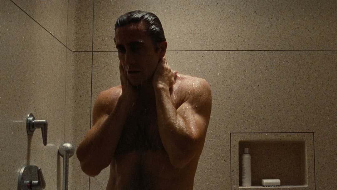 Nocturnal Animals backdrop 18