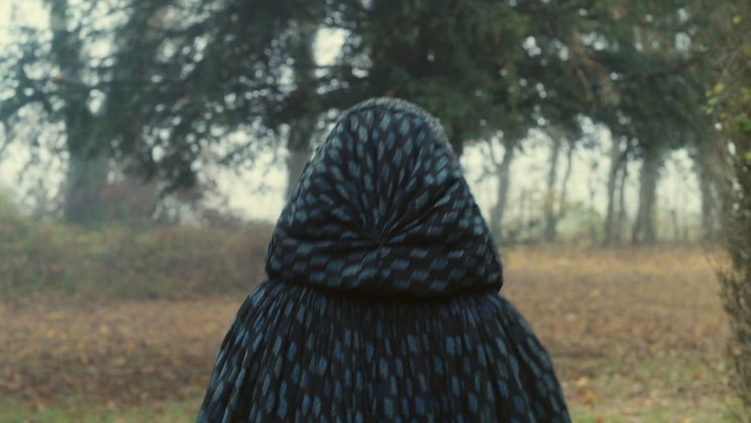 Портрет дівчини у вогні backdrop 11