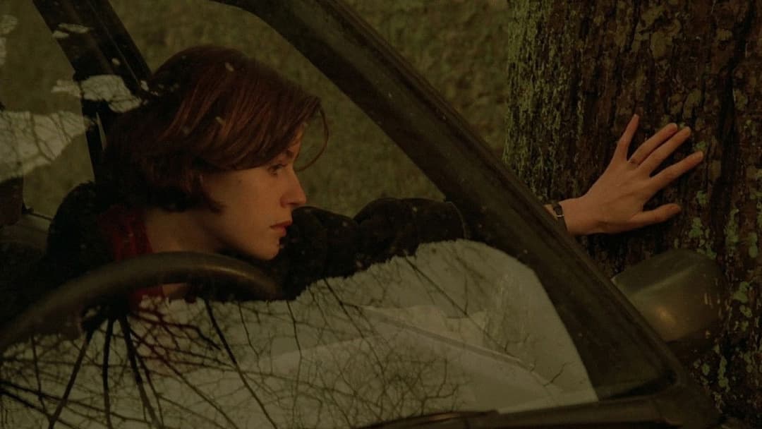 The Double Life of Véronique backdrop 17