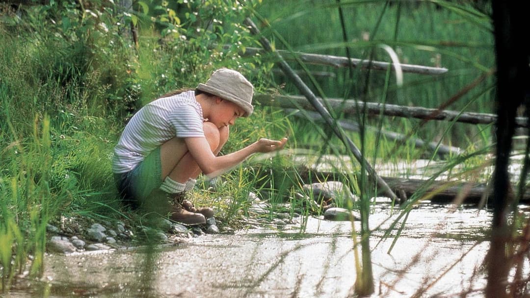 Amy und die Wildgänse backdrop 1