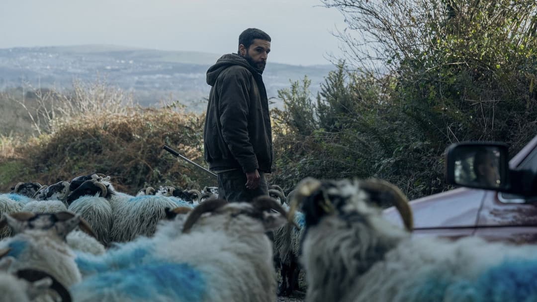 Bring Them Down backdrop 3