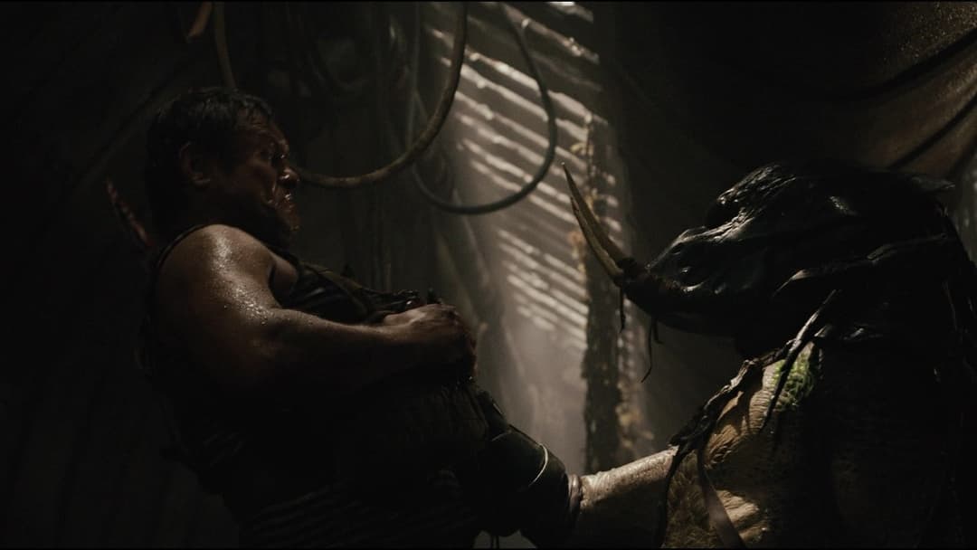 Predators backdrop 20