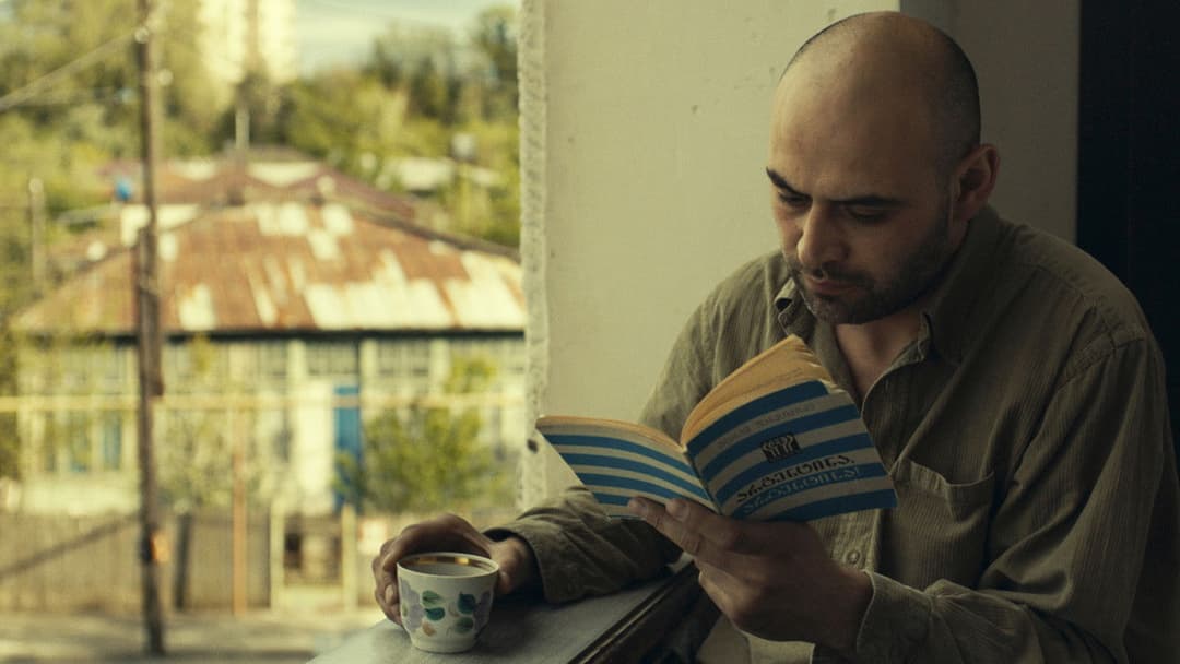 What Do We See When We Look at the Sky? backdrop 7