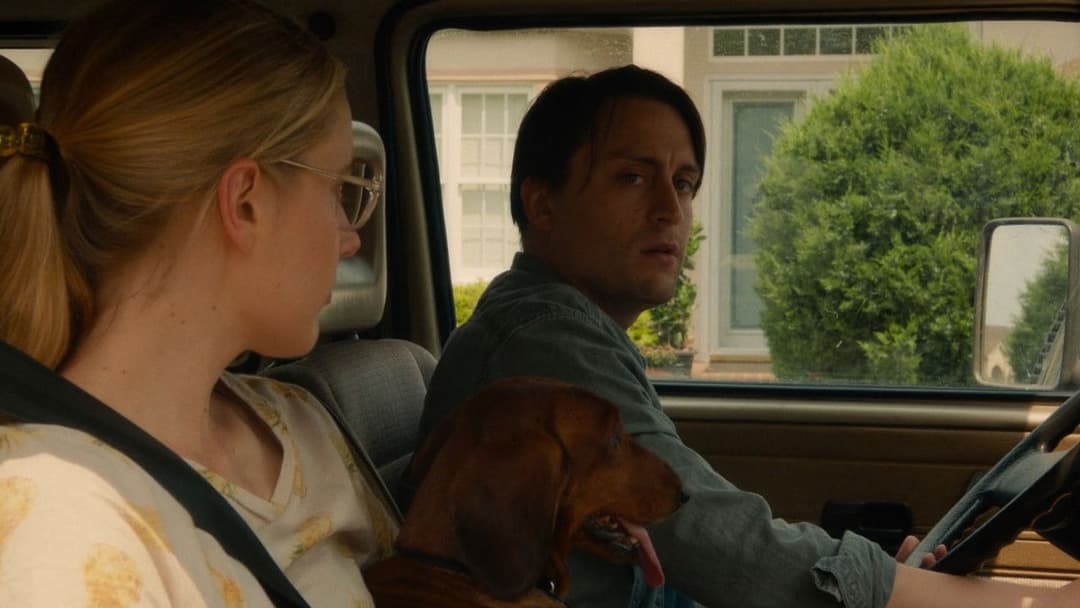 Wiener Dog backdrop 12