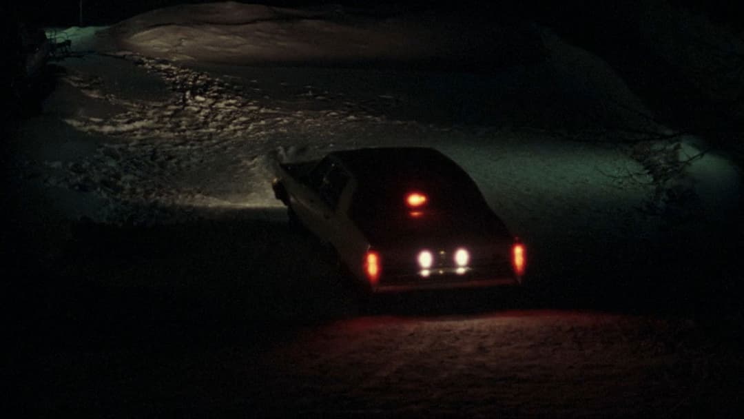 I Am Not a Serial Killer backdrop 8