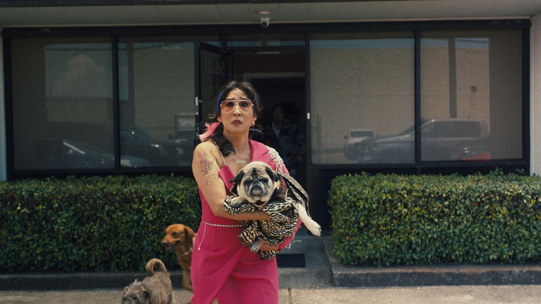 Quiz Lady backdrop 10