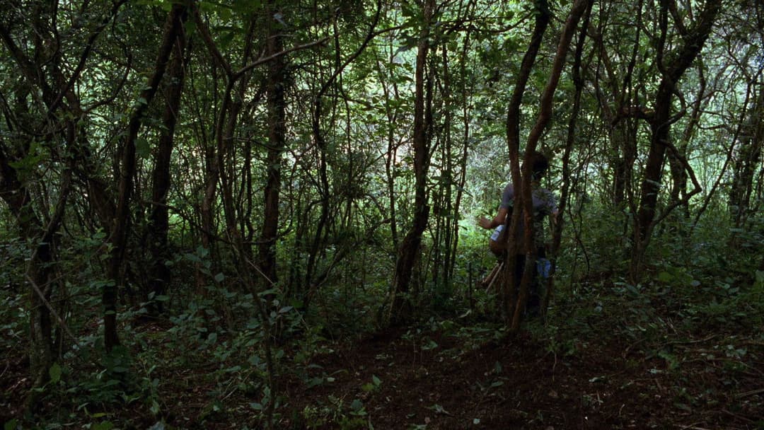 La Ciénaga backdrop 20