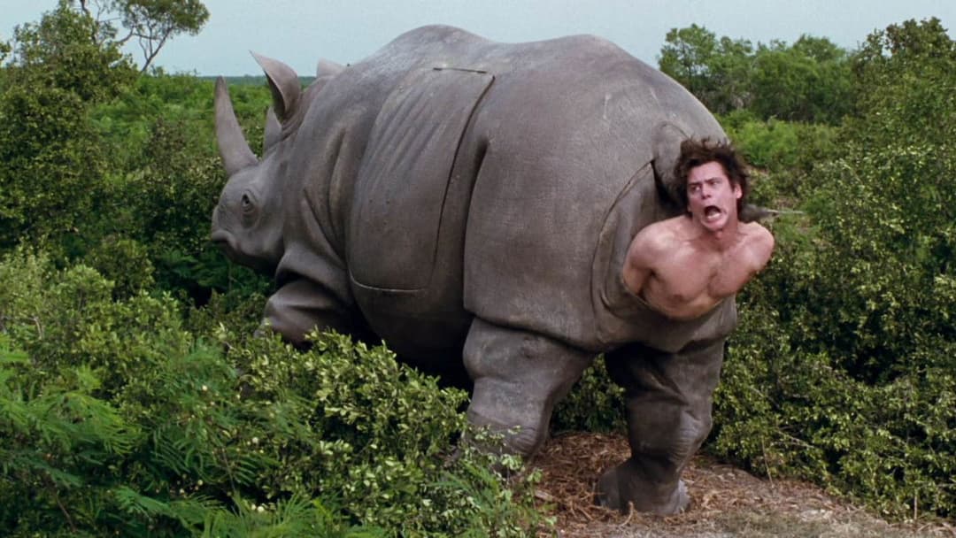 Ace Ventura: When Nature Calls backdrop 6