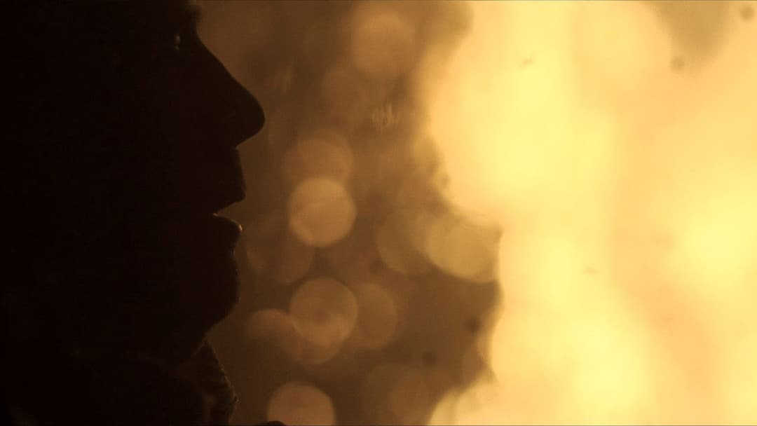 Нова ера Z backdrop 5