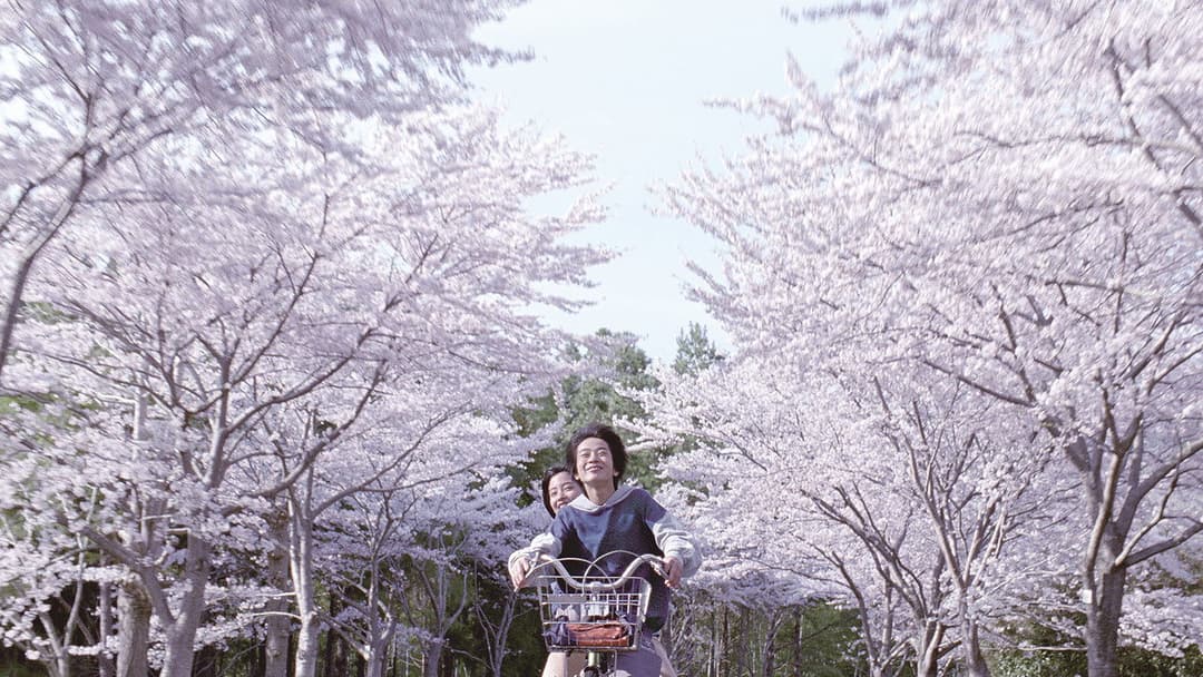 Unsere kleine Schwester backdrop 7