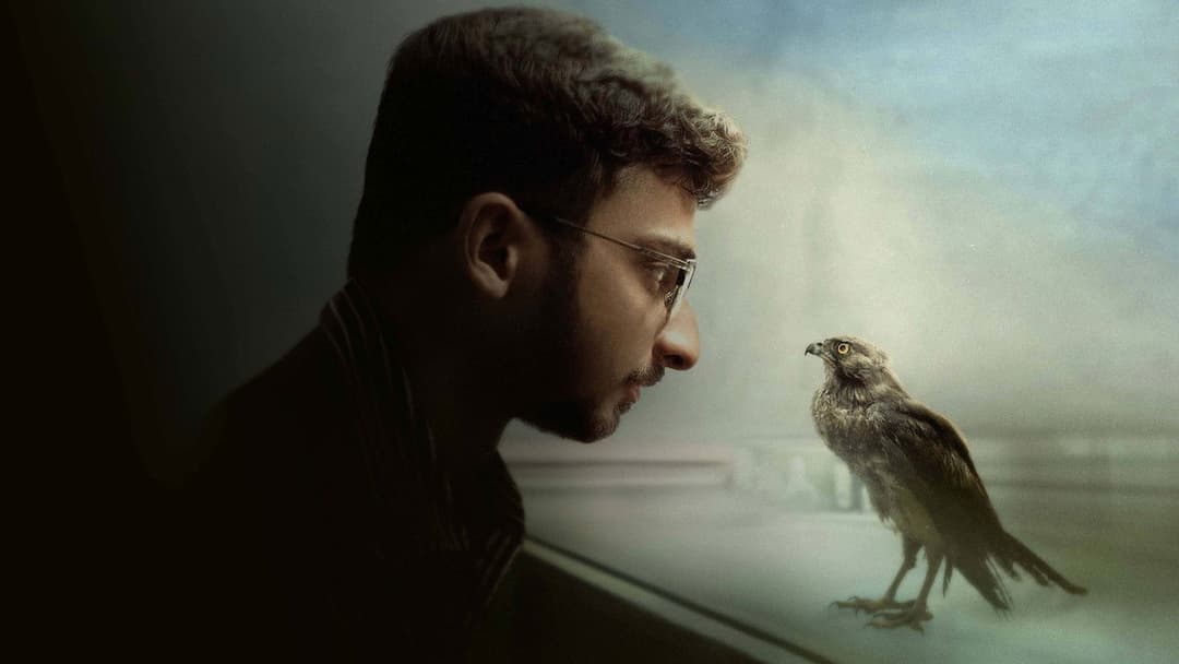 All That Breathes backdrop 3