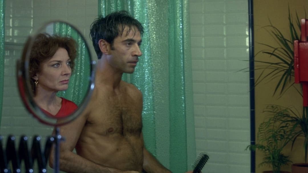 The Flower of My Secret backdrop 9