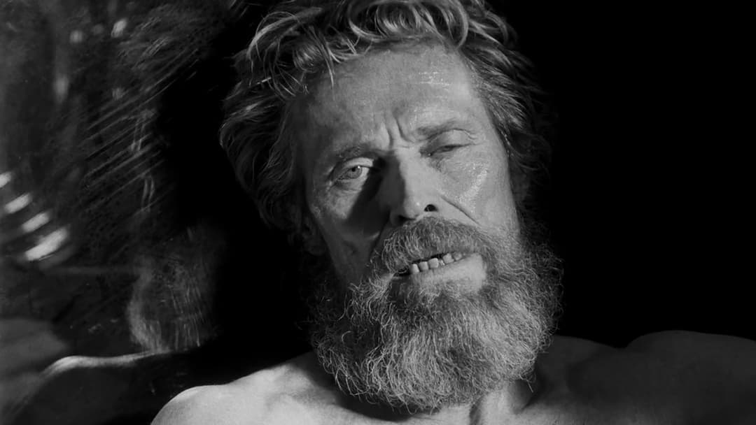 The Lighthouse backdrop 17