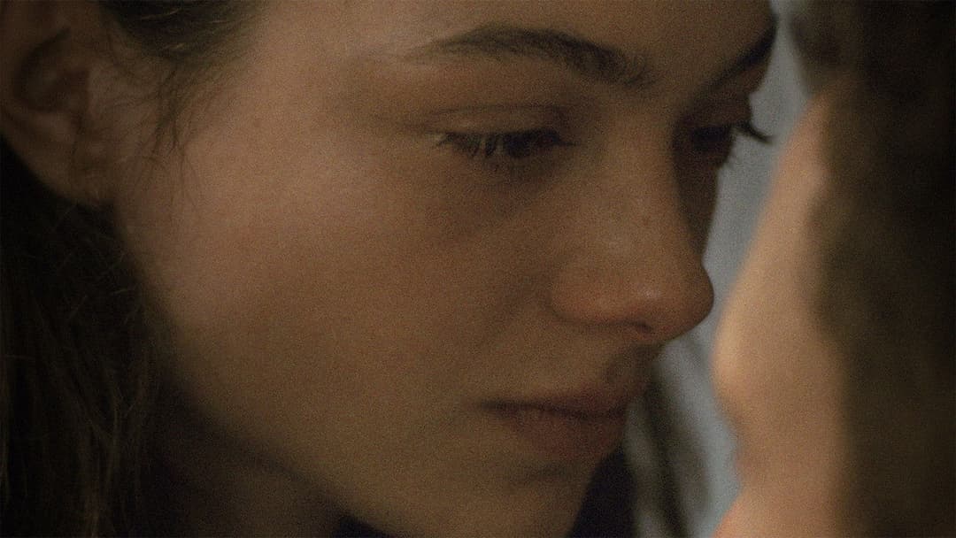 Palm Trees and Power Lines backdrop 2