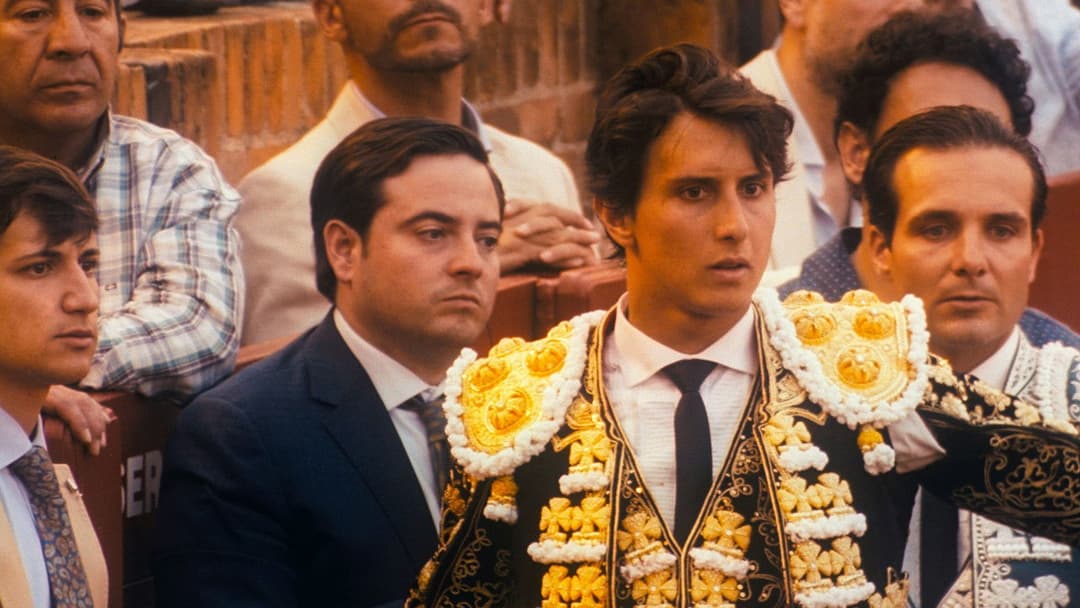 Afternoons of Solitude backdrop 9