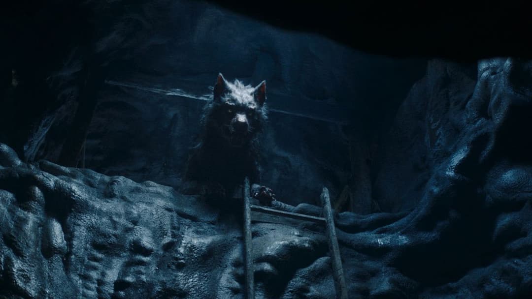 Viking Wolf backdrop 12