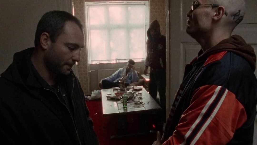 Дилер backdrop 15