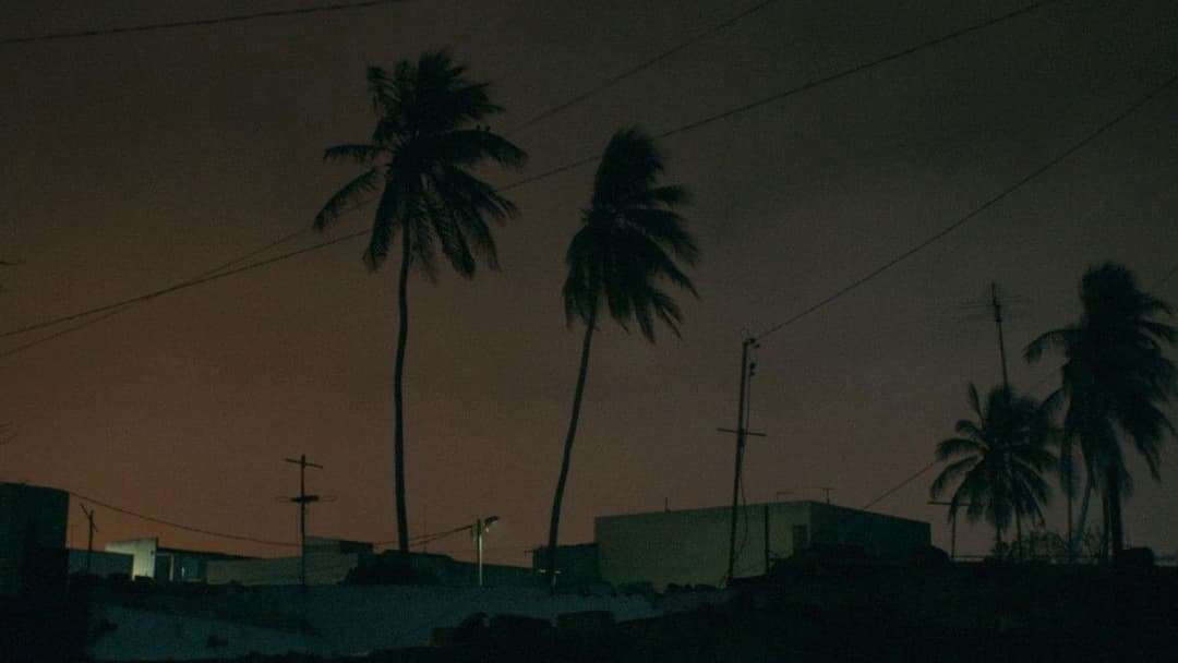 Атлантика backdrop 6