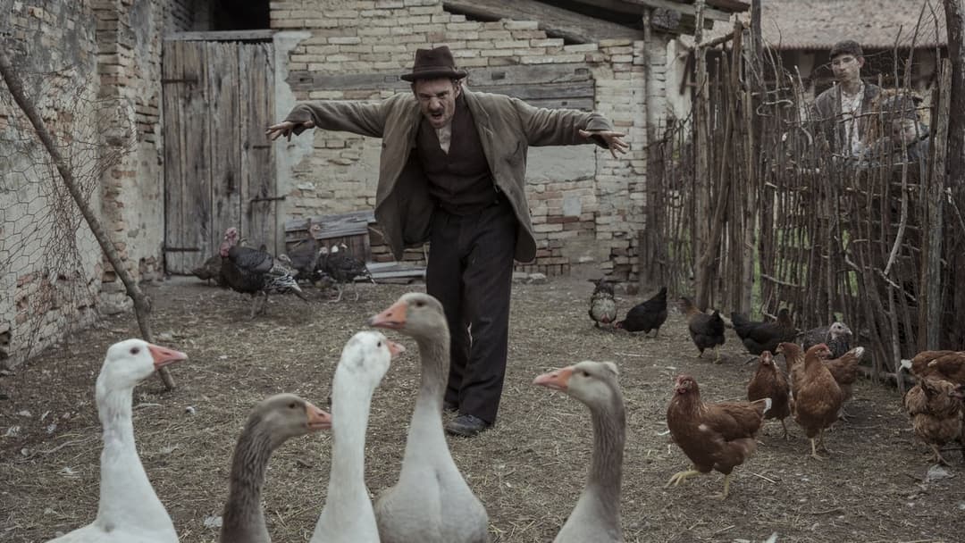 Hidden Away backdrop 1