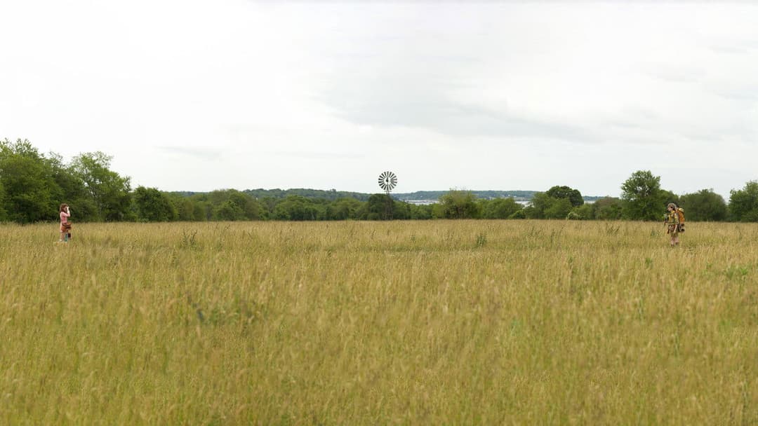 Moonrise Kingdom backdrop 9