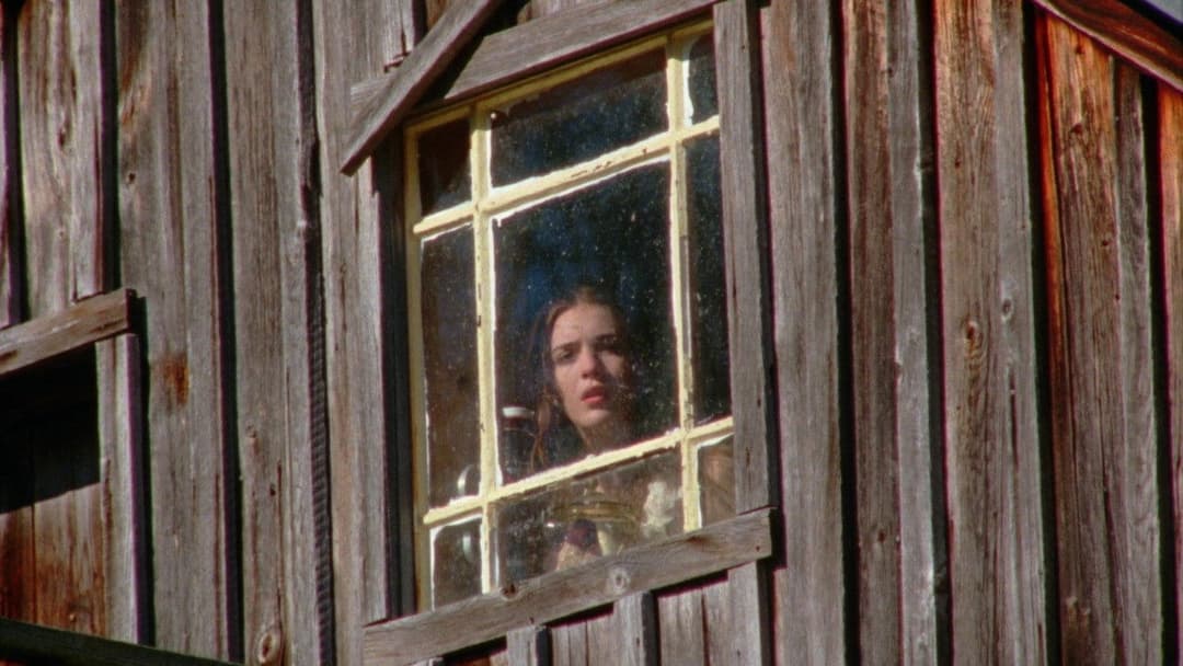 Дивотріп backdrop 17