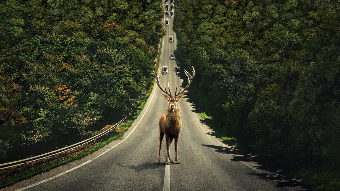 Leave the World Behind backdrop 15