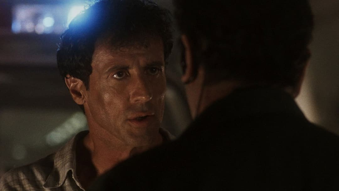 Daylight backdrop 10