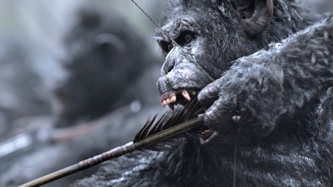 War for the Planet of the Apes backdrop 17