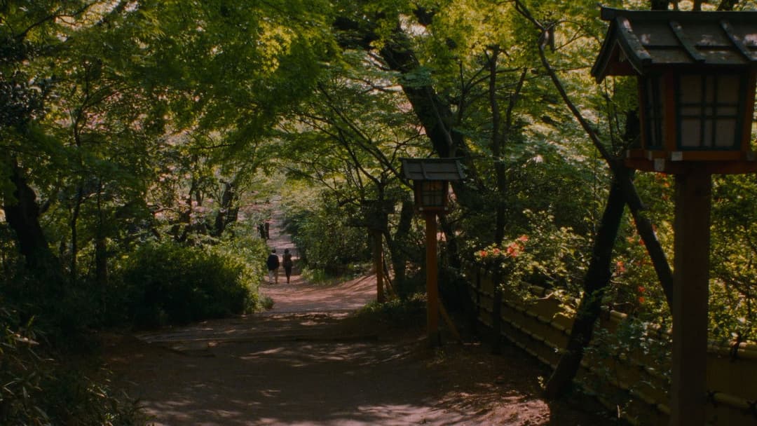 Один і два backdrop 12