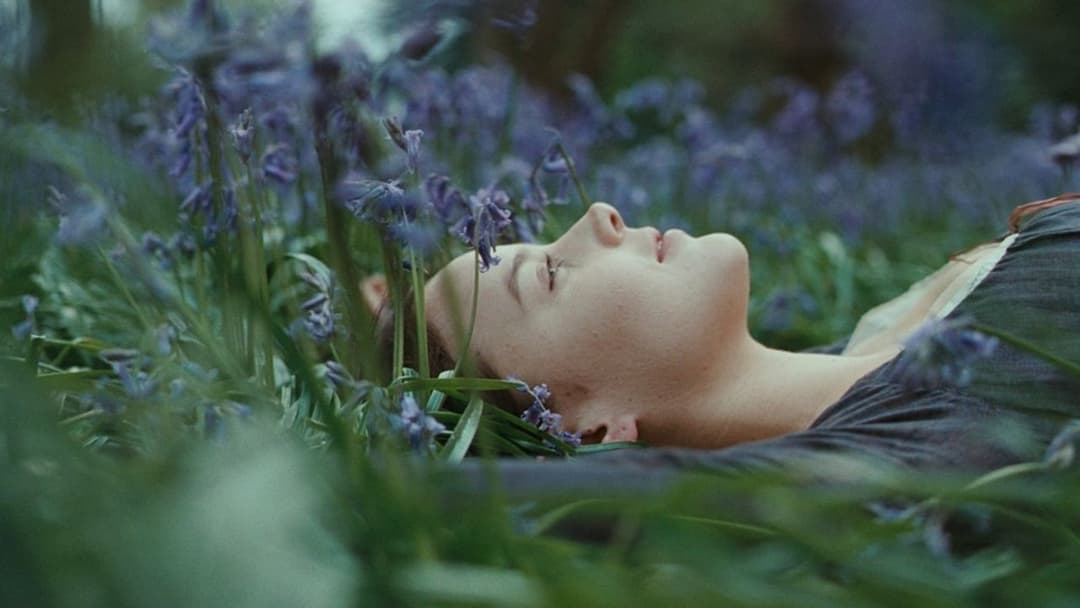 Яскрава зірка backdrop 11