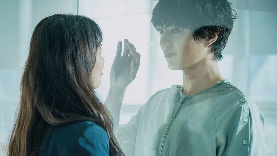 Wonderland backdrop 7