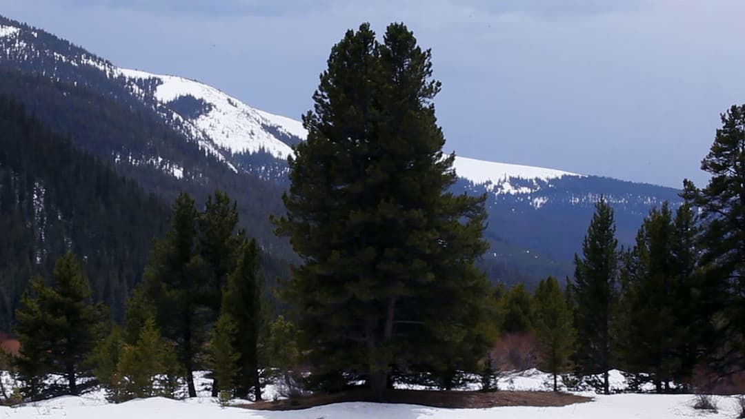 Infinity Chamber backdrop 9