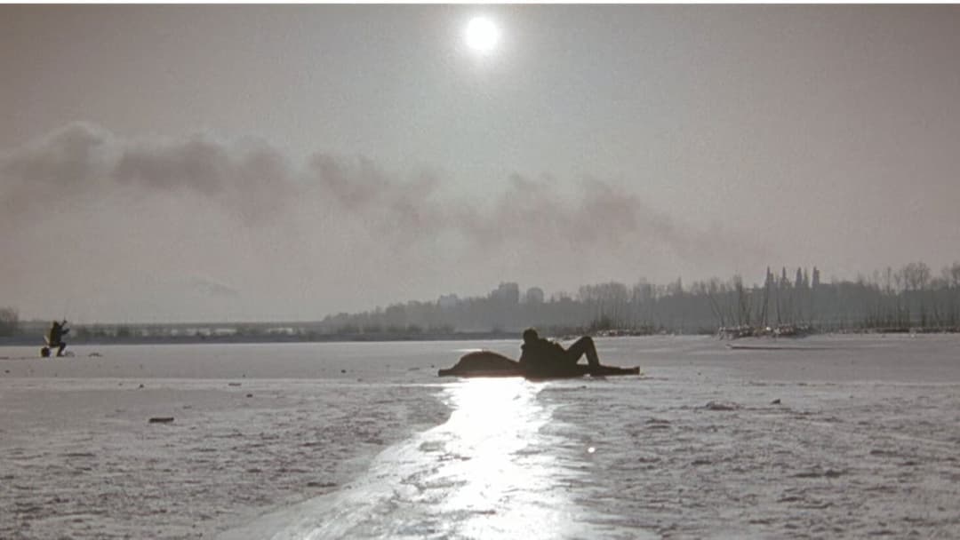 Drei Farben: Weiß backdrop 9