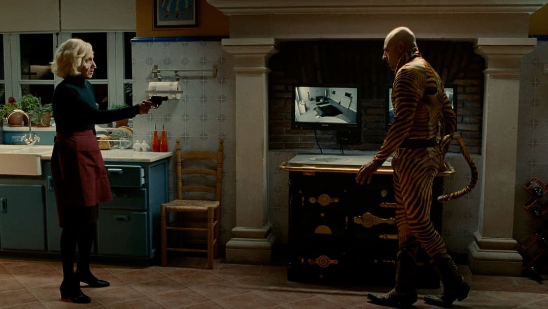 The Skin I Live In backdrop 10