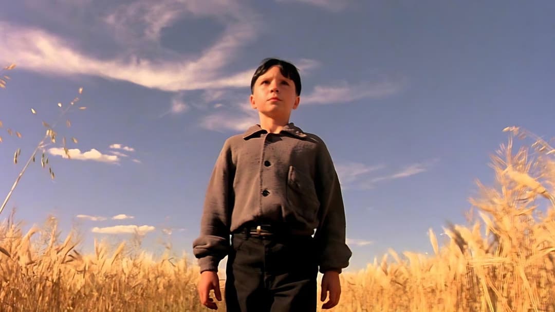 The Reflecting Skin backdrop 9