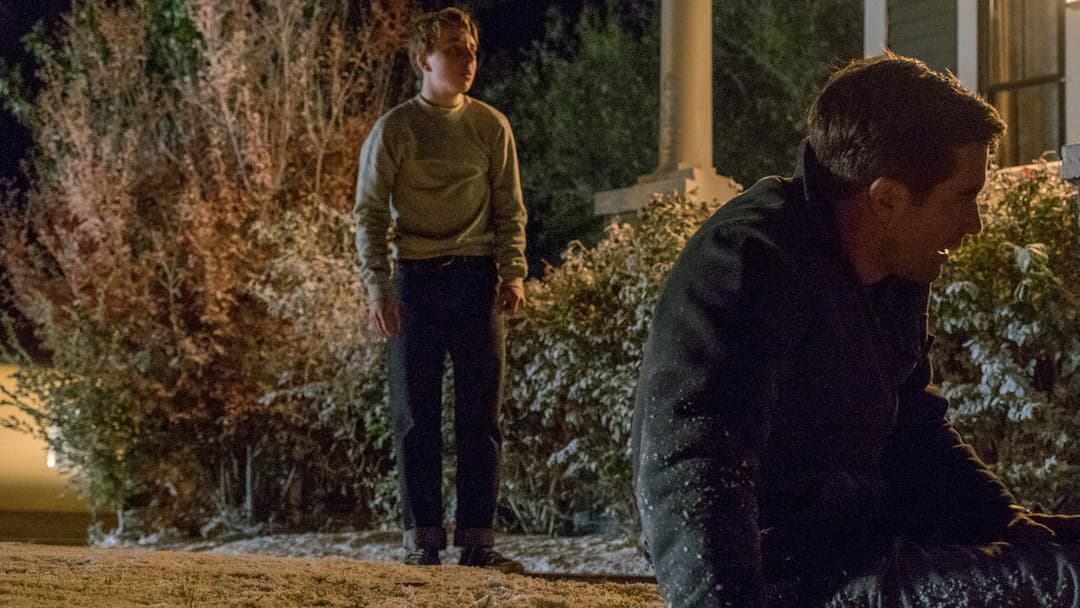 Дике життя backdrop 3