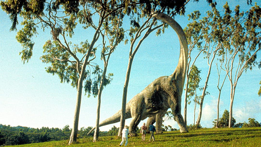 Jurassic Park backdrop 13