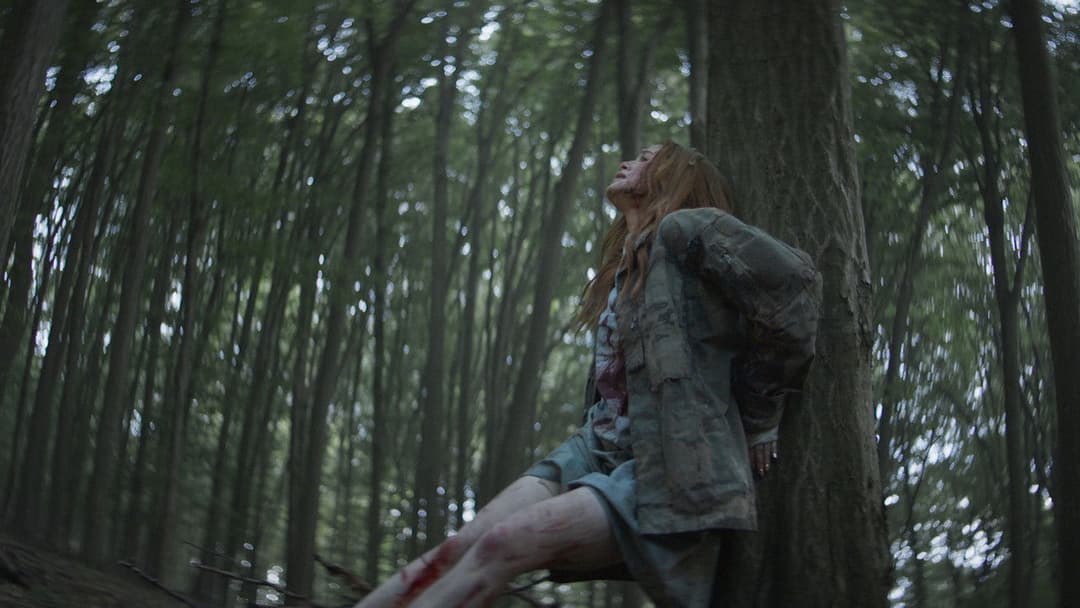 The Strangers: Chapter 2 backdrop 20