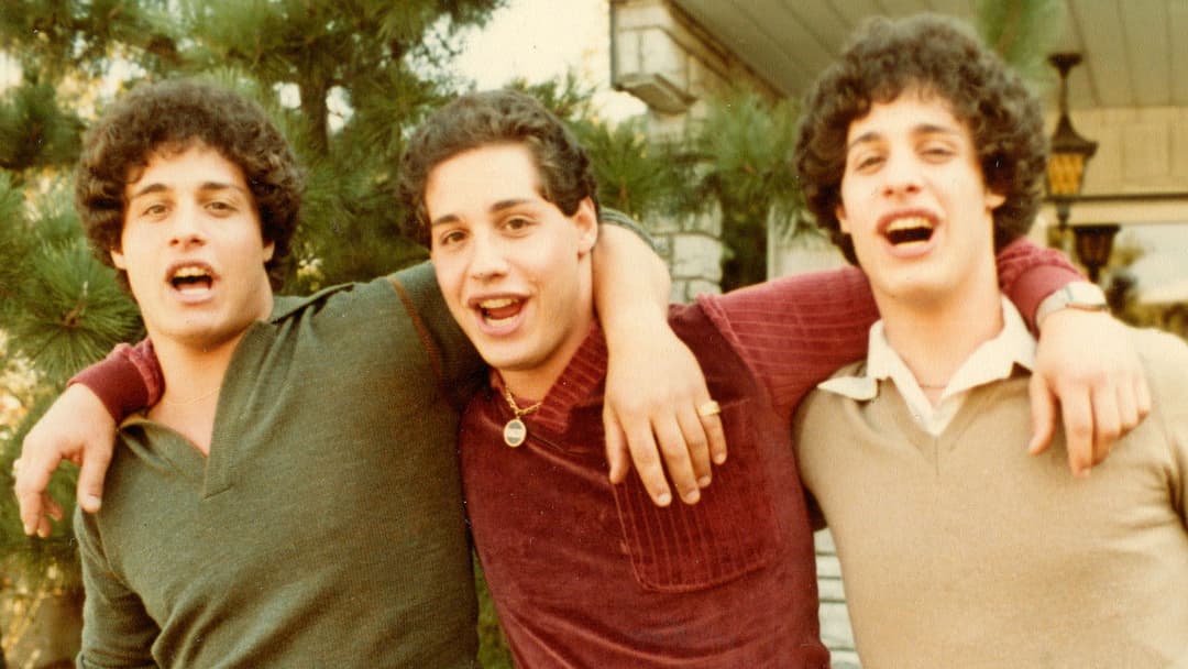 Three Identical Strangers backdrop 2